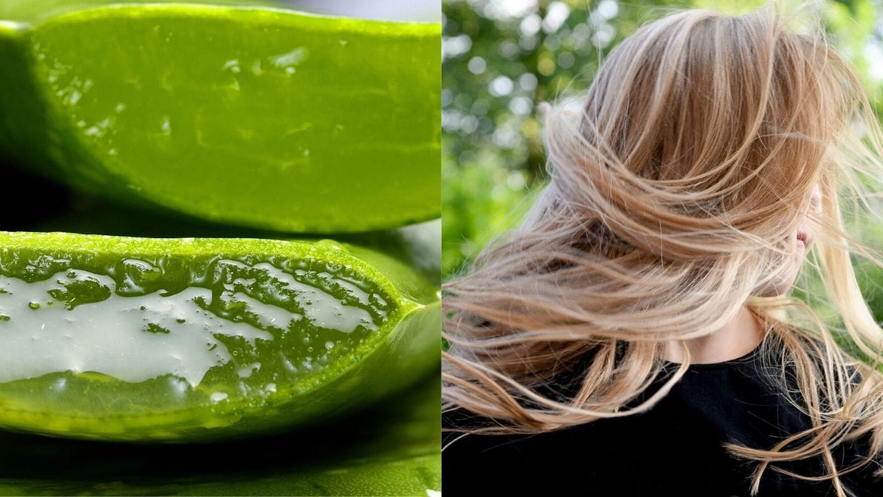 Aloe vera capelli