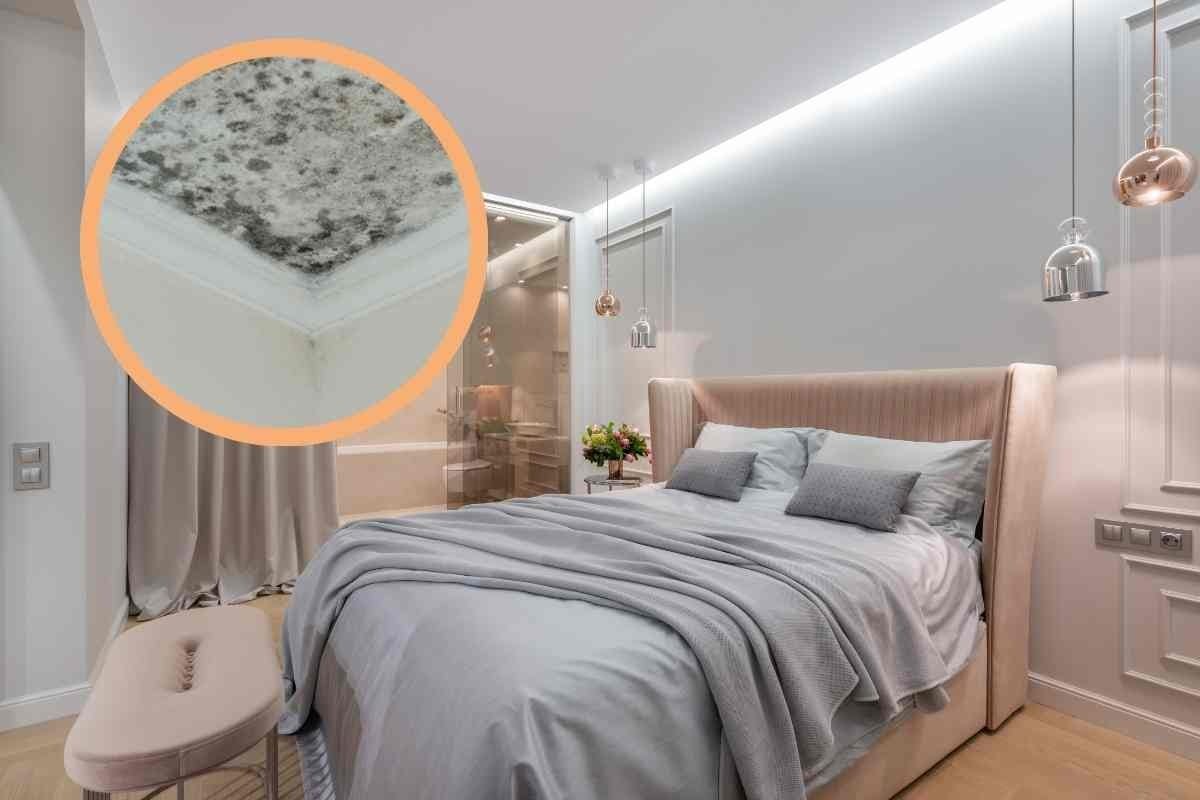 Muffa e umidità in camera da letto