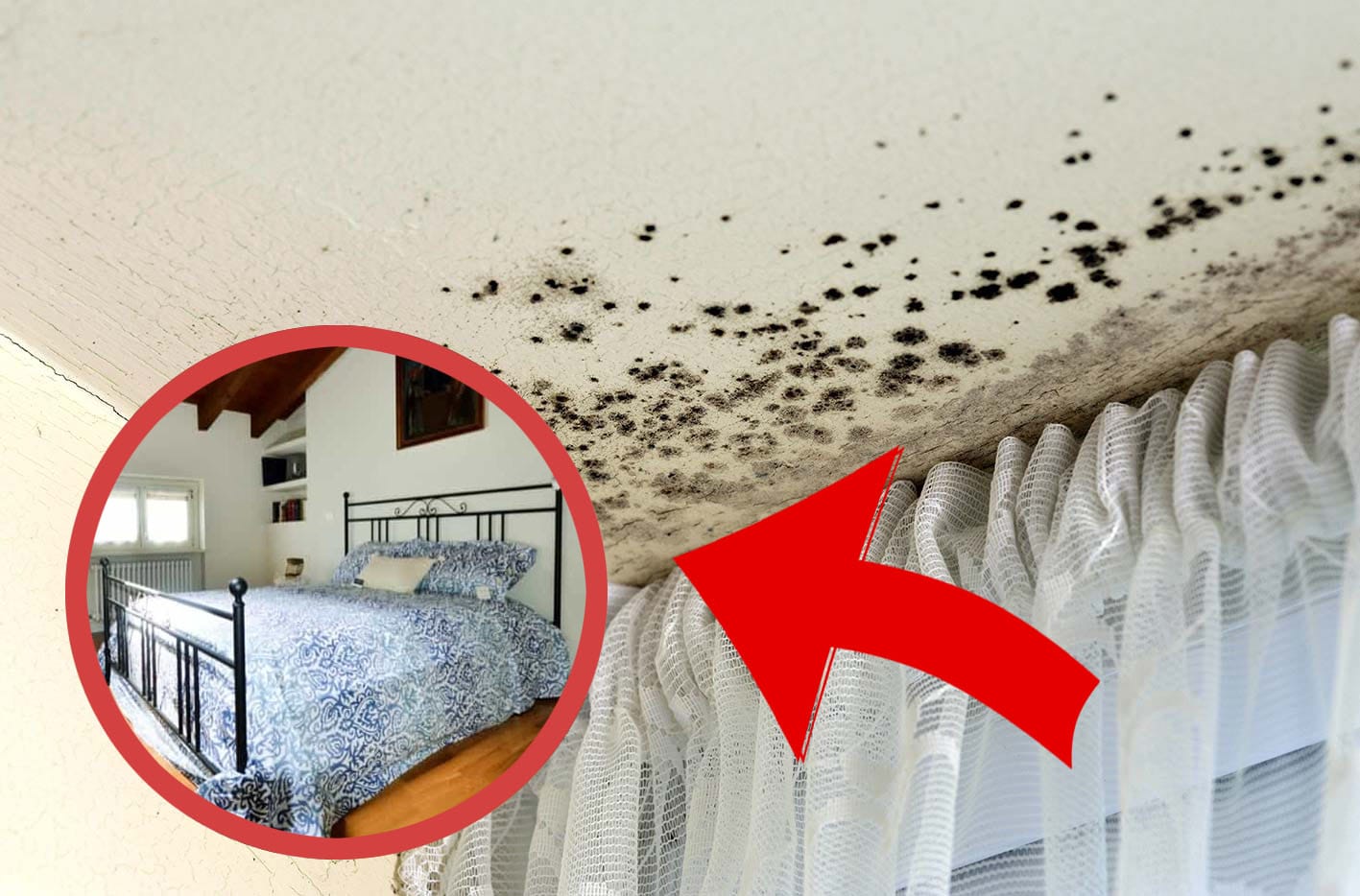Umidità e muffa in stanza da letto, risolvi subito così e senza spendere tanto!